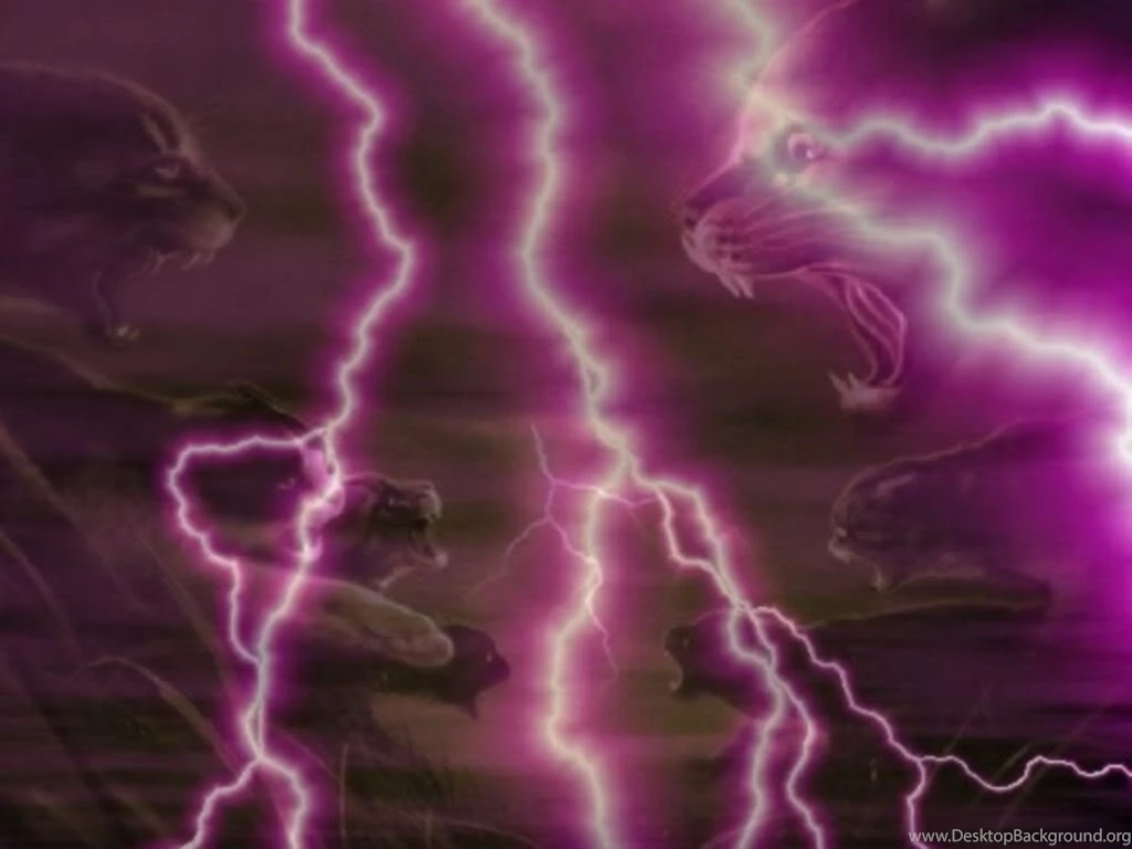 Thunder Warrior