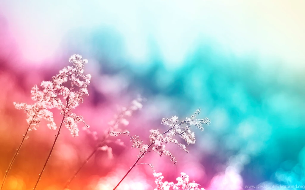 Pretty Colorful Backgrounds Hd Wallpaper Backgrounds