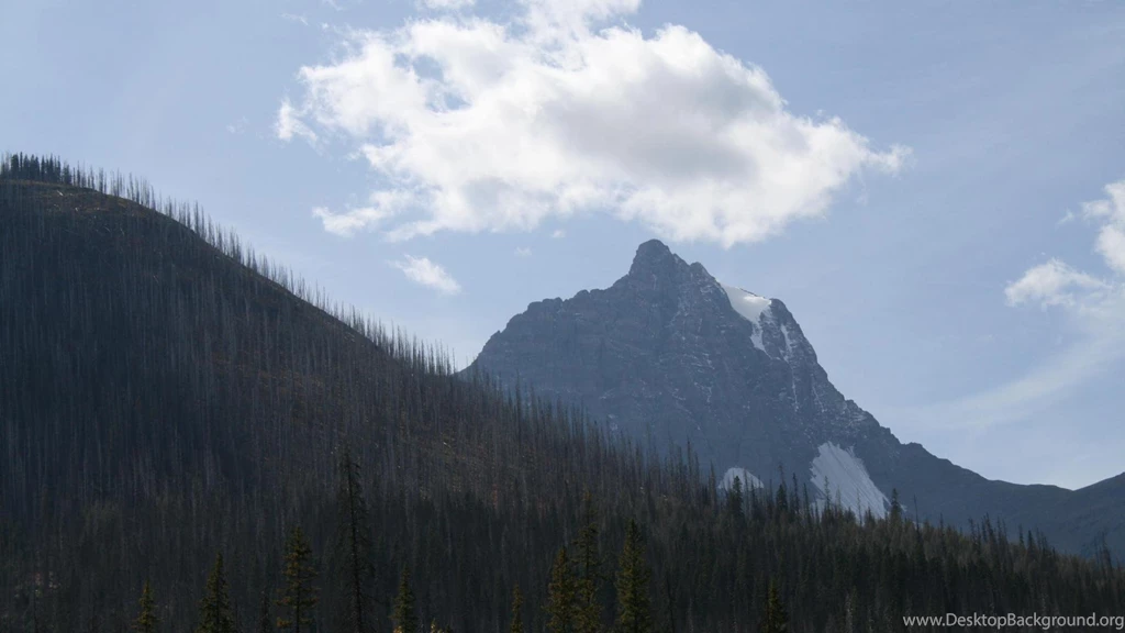 A Day Into The Wild Of Alberta 18 Wallpapers   (