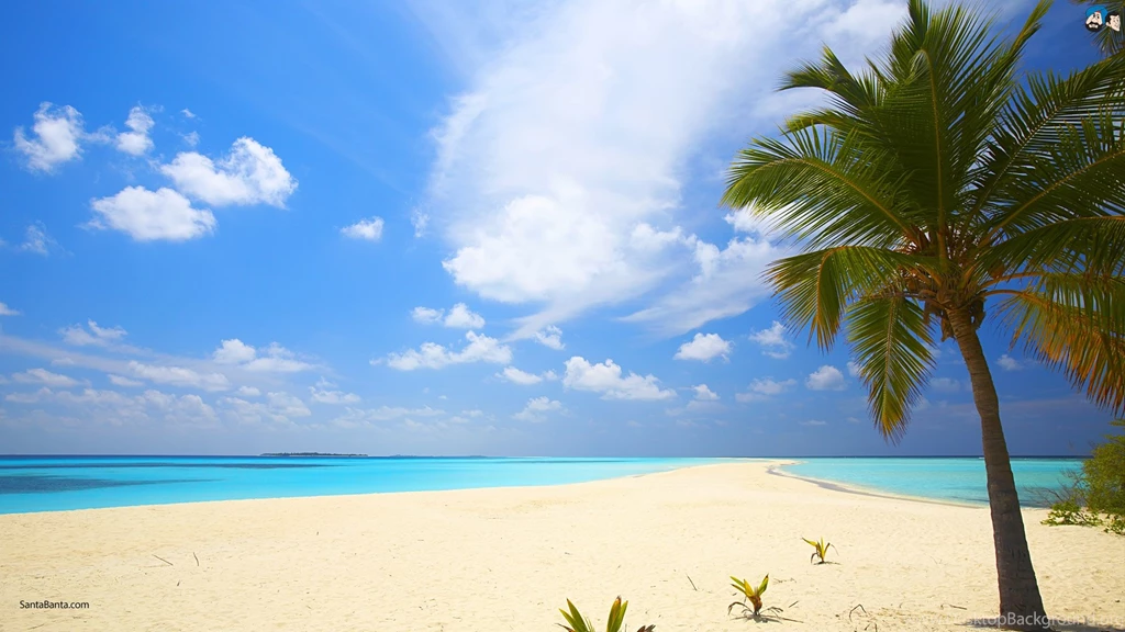 Beach Backgrounds Wallpapers 1131134