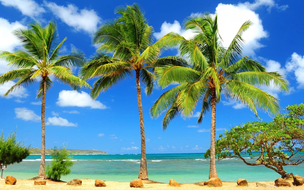 Beauty Beach Hd Wallpaper Backgrounds 1680x1050 Widescreen Hd ...