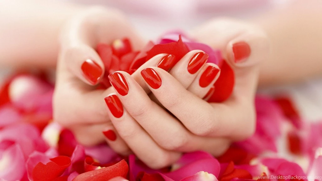 Flower Petals In Hands Wallpapers 10539 1366x768 UMad.com