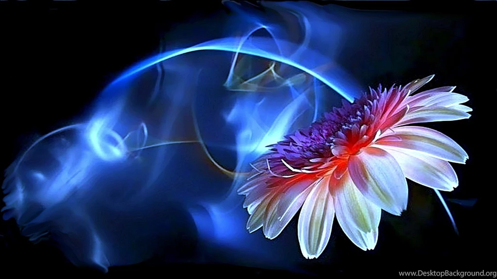 Neon Flower Wallpaper Images   Nekeran.com