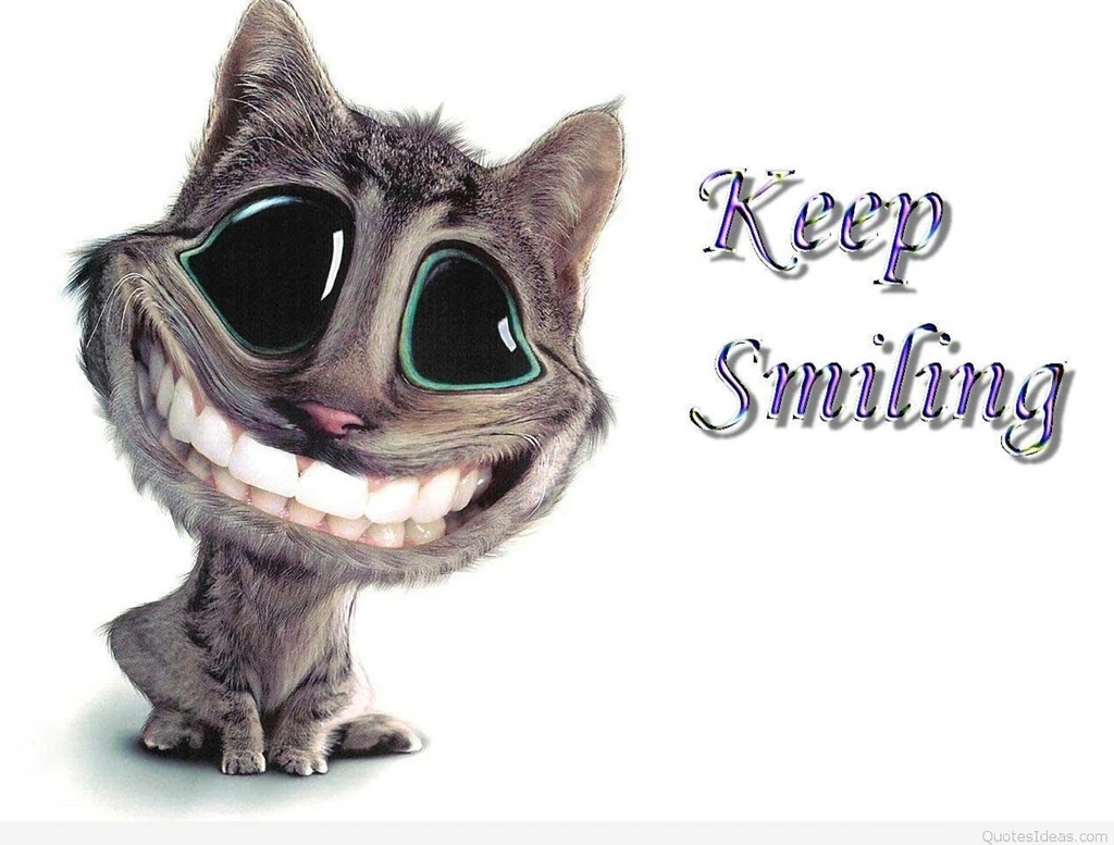 Best Funny Mobile Quotes With Images & Wallpapers Hd