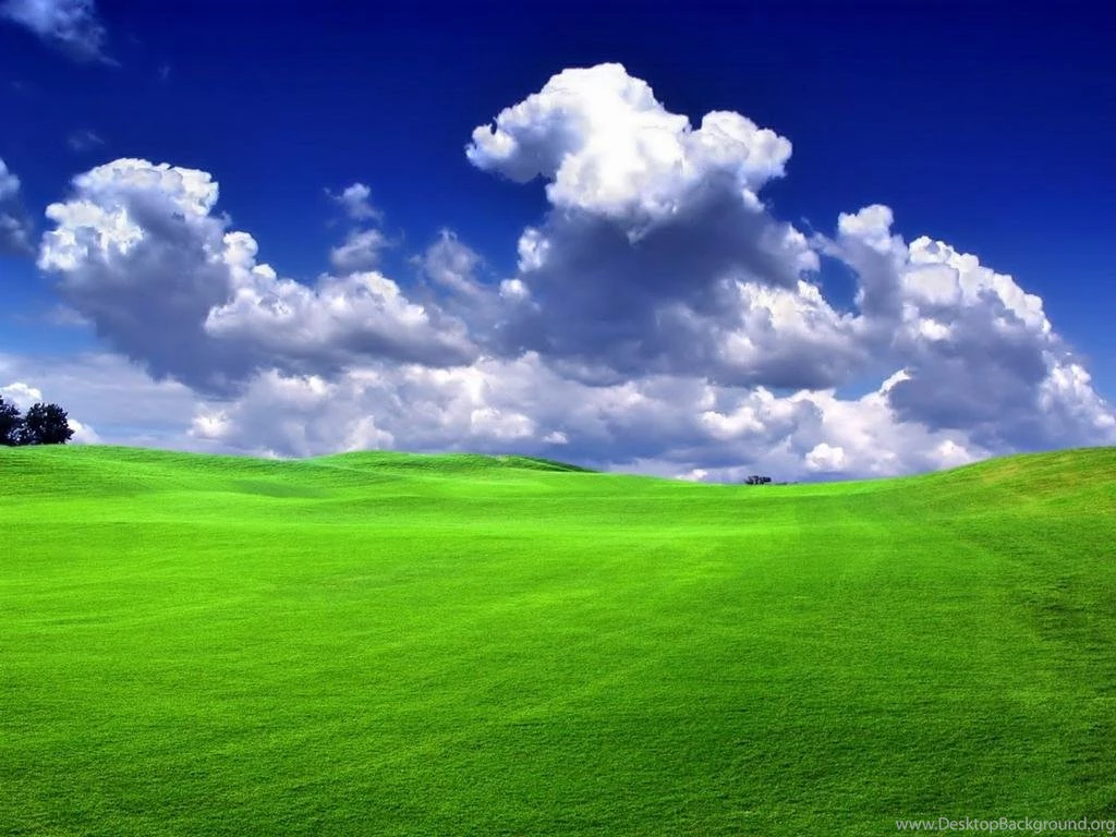 Green_Grass_Blue_Sky_Bliss grass wallpaper nature From AZCPU,INC ...