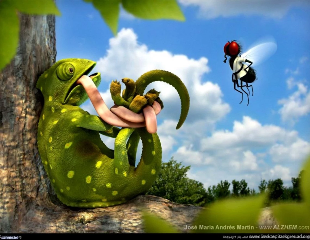 Funny Wallpapers Free