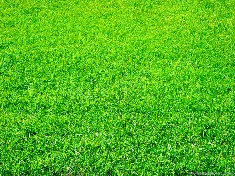 Bright Green Grass Great As A Backgrounds