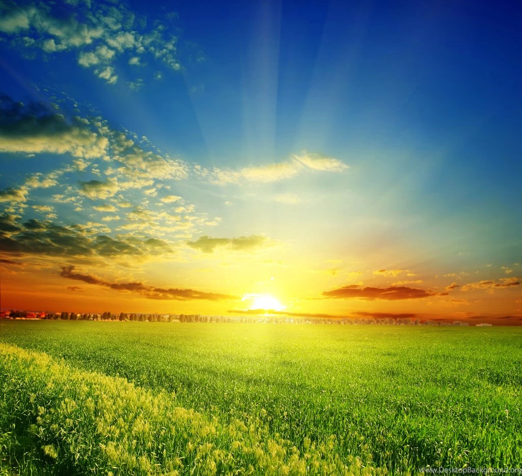 Green Grass Wallpapers, Images, Photos, Pictures & Pics