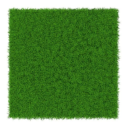 Refreshing Green Grass Backgrounds Vector 02 Vector Backgrounds ...