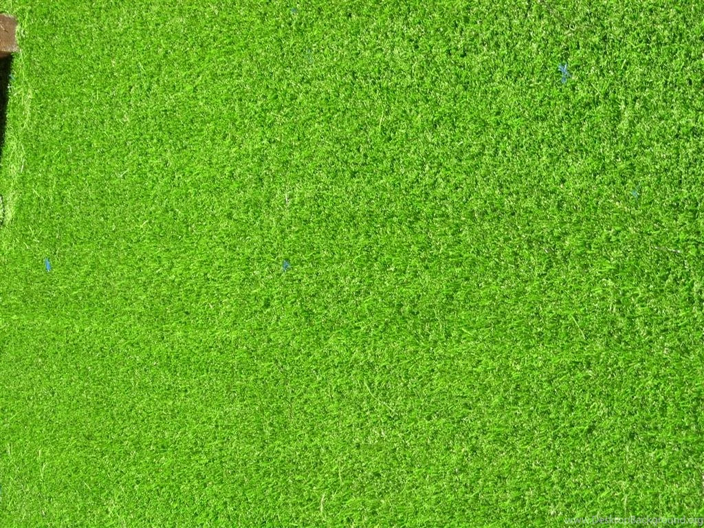 Download Texture: Green Grass, Background, Texture, Download Photo ...