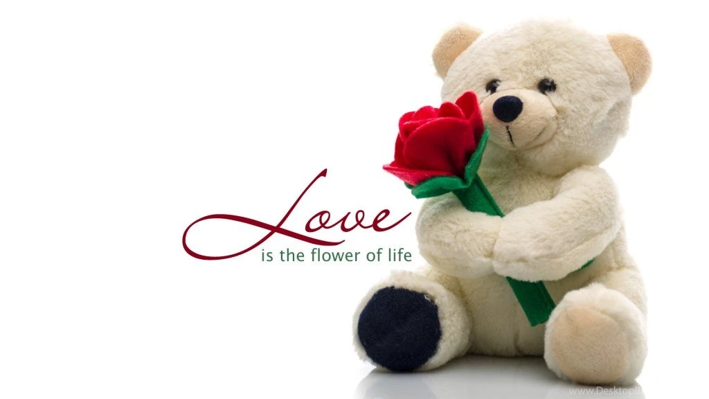 Happy Teddy Day – Gifts & Wallpapers