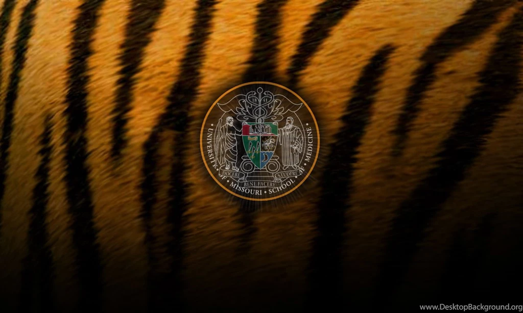 University Of Missouri   School Of Medicine   Multimedia   Image ...