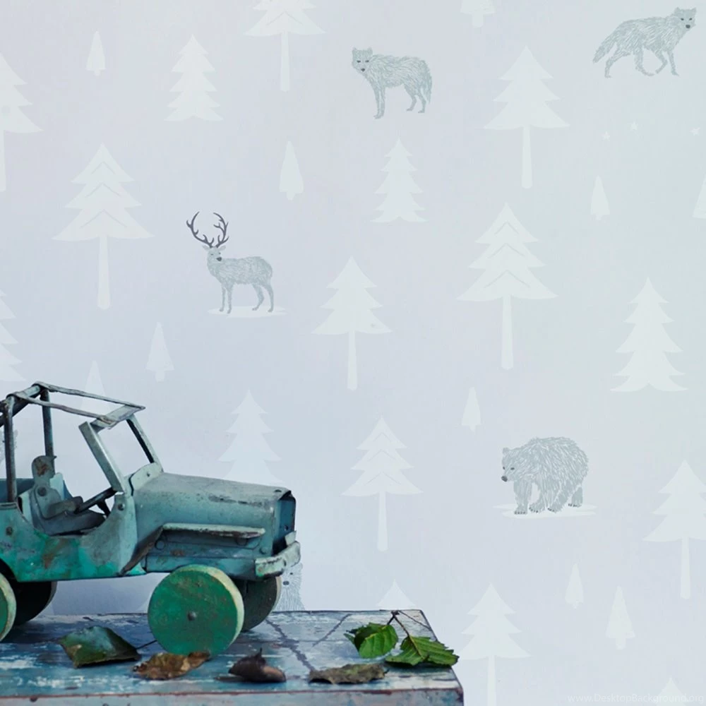 KIDS WALLPAPER Into The Wild Wall Art & Wallpapers