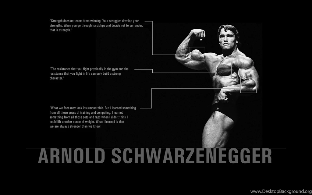 Fonds D'écran Arnold Schwarzenegger : Tous Les Wallpapers Arnold ...