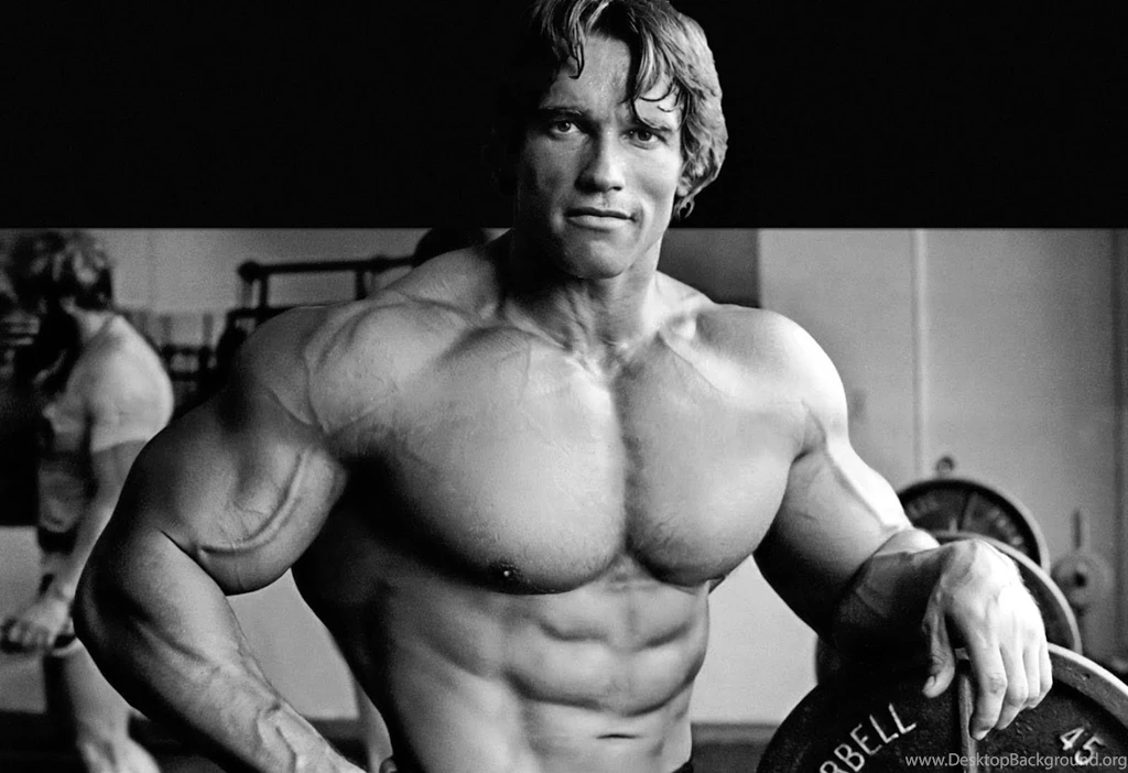 Arnold Schwarzenegger Now 2015 Wallpaper.