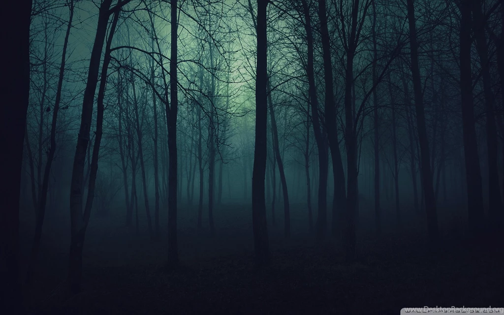 Dark Forest HD Desktop Wallpapers : High Definition : Fullscreen ...