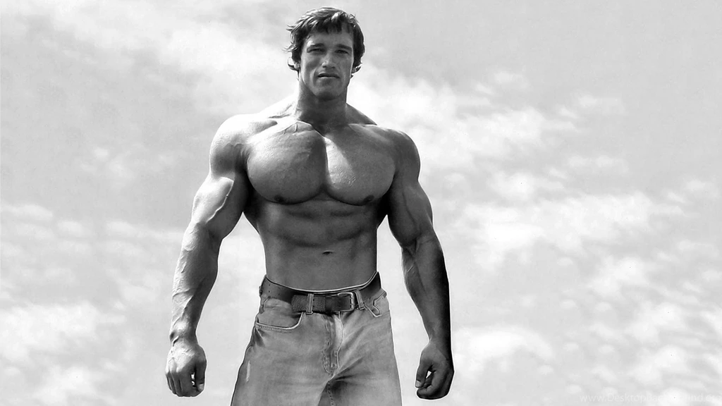 HD Arnold Schwarzenegger Wallpapers – HdCoolWallpapers.Com