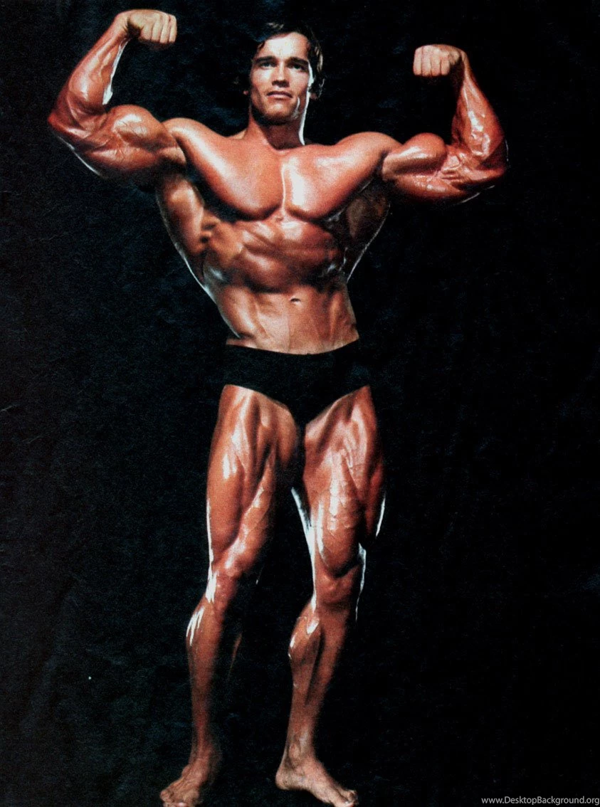 Best Wallpapers: Bodybuilders Wallpapers