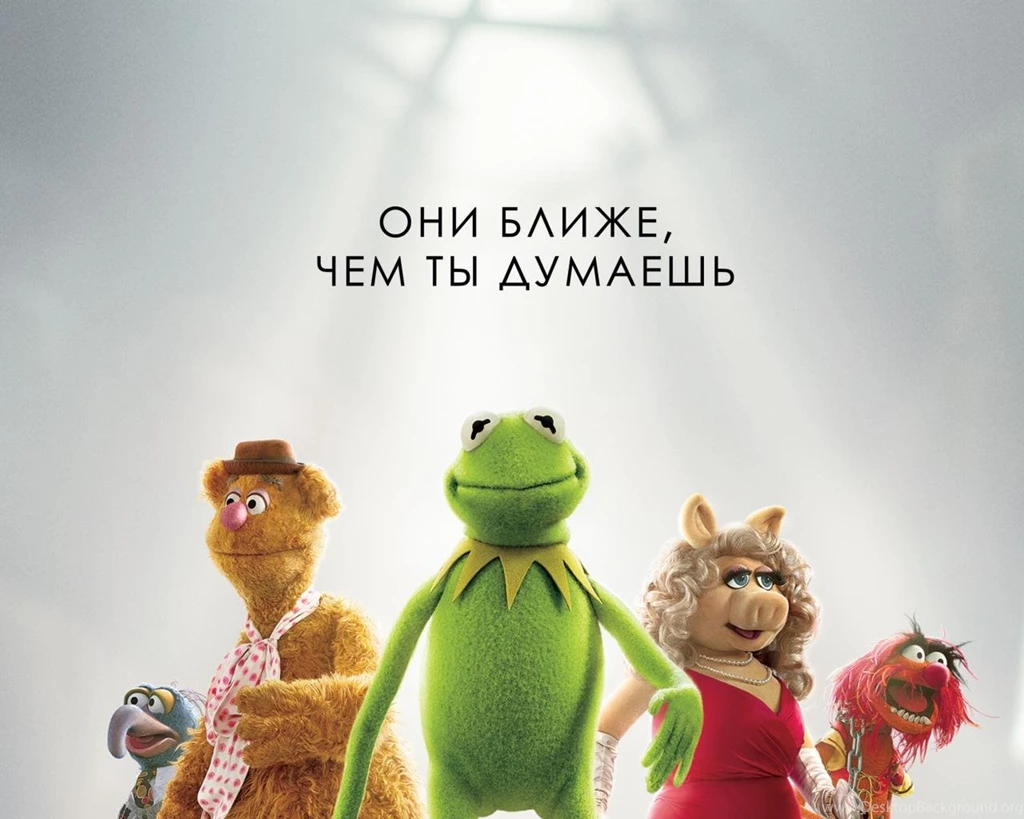 Kermit The Frog Miss Piggy Muppet Show Wallpapers