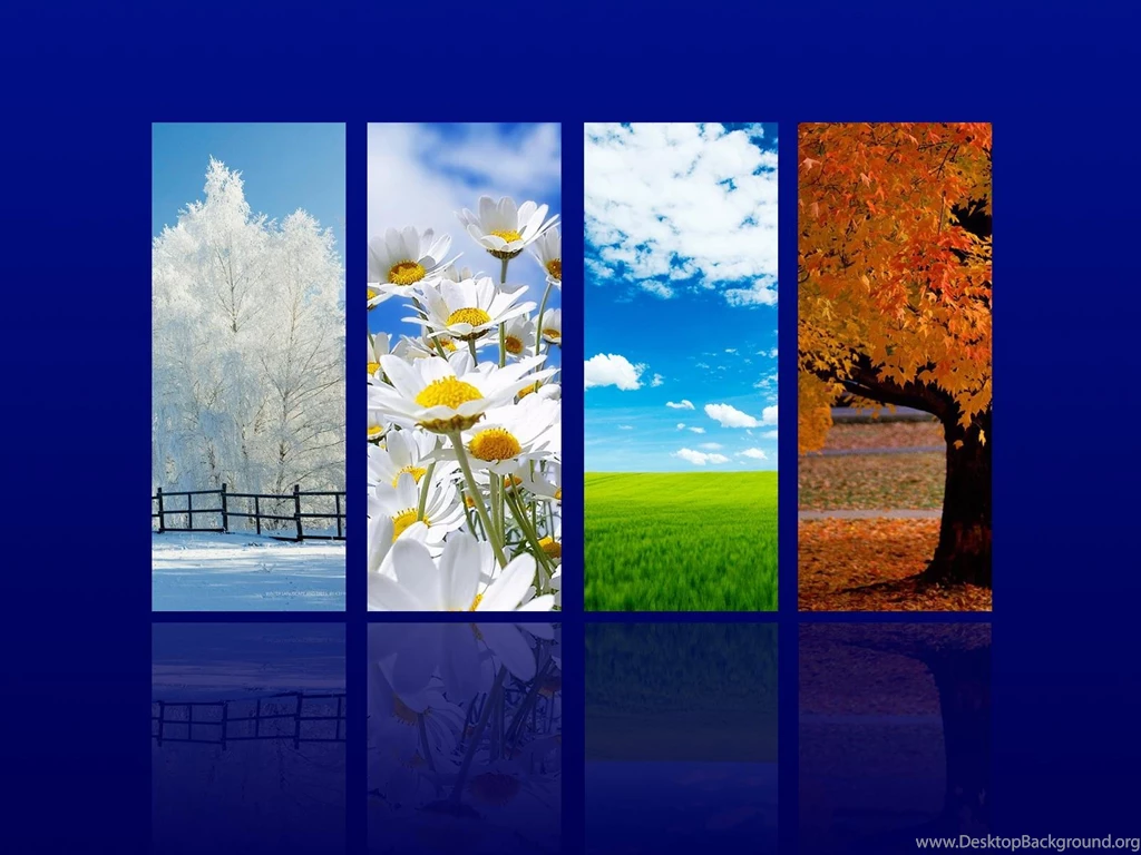 4 SEASONS WALLPAPER (
