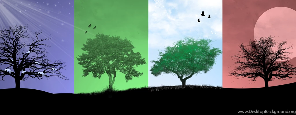 4 Seasons By Dj004 On DeviantArt