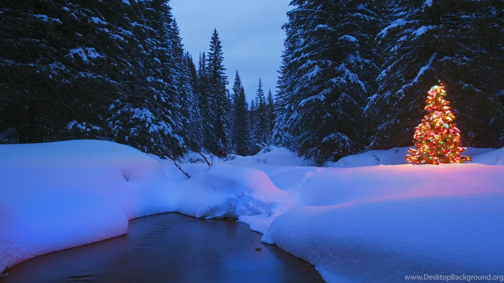 Download Seasons Wallpapers 1920x1080