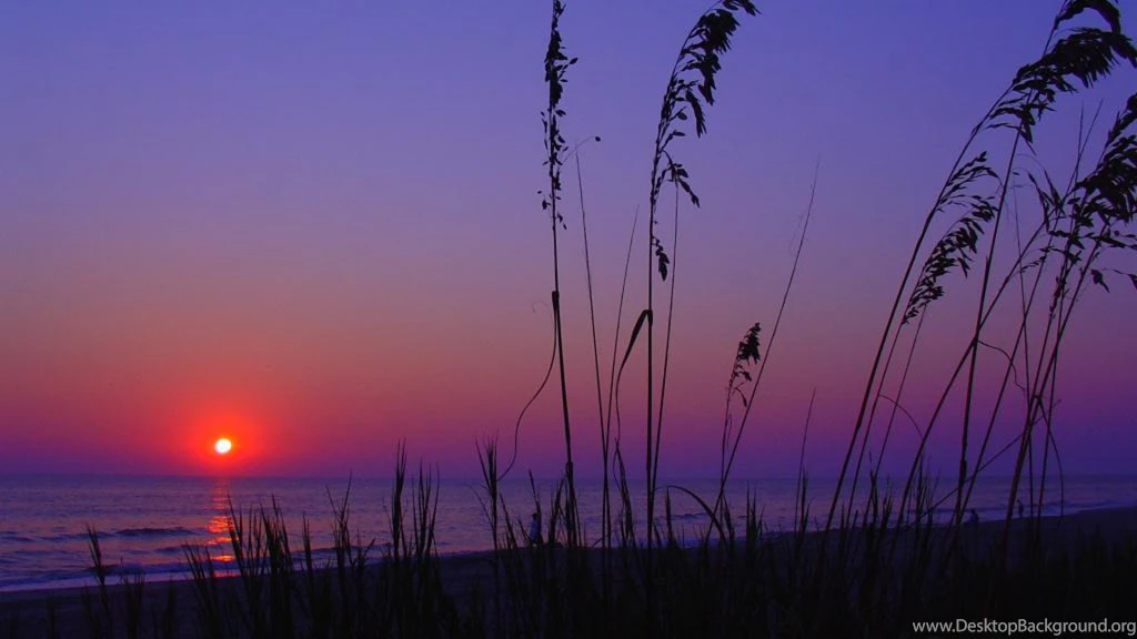 Myrtle Beach South Carolina Pictures Wallpapers HD Fine