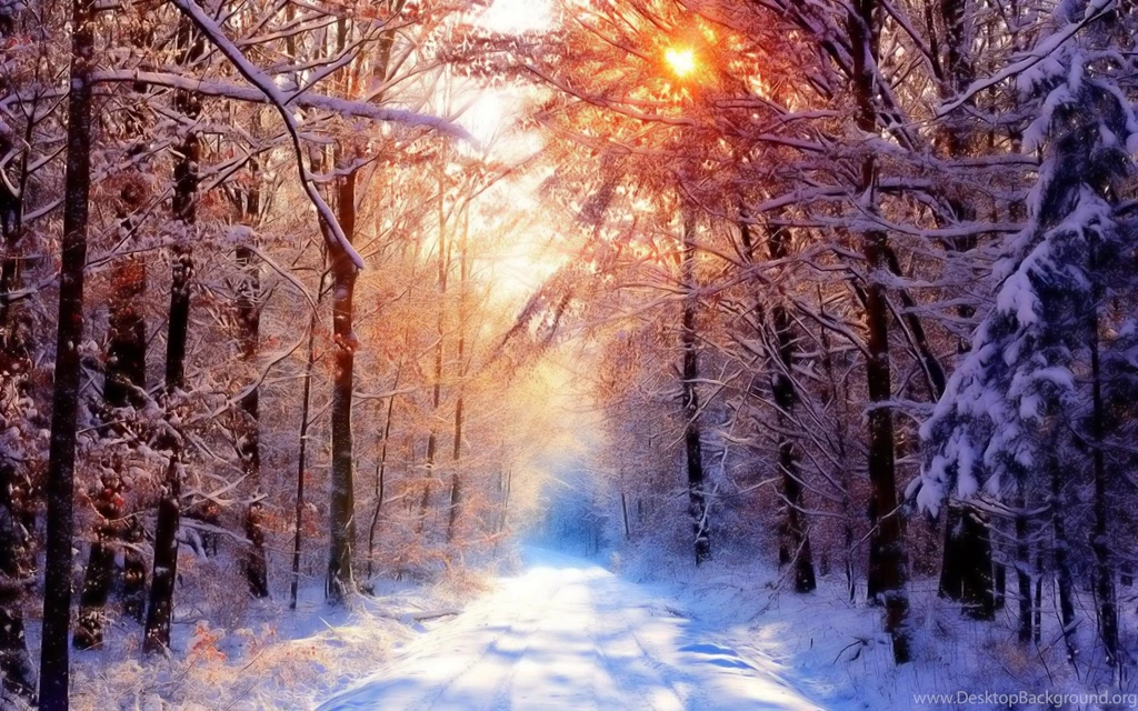 Desktop Wallpapers · Gallery · Nature · Last Snowfall