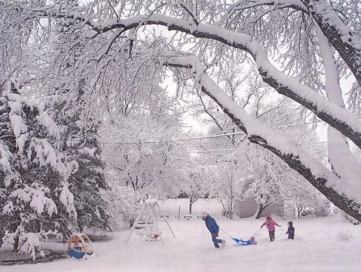 Snow Falling
