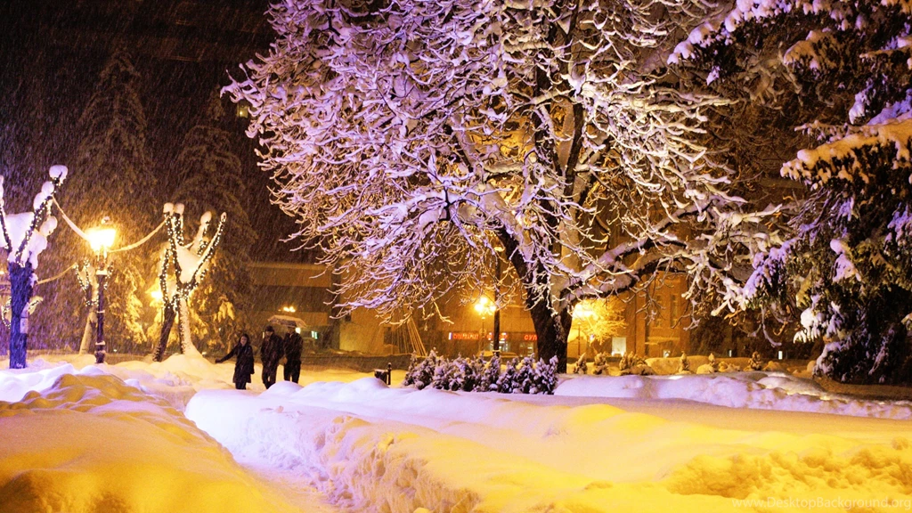 Heavy Snowfall On A Winter Night
