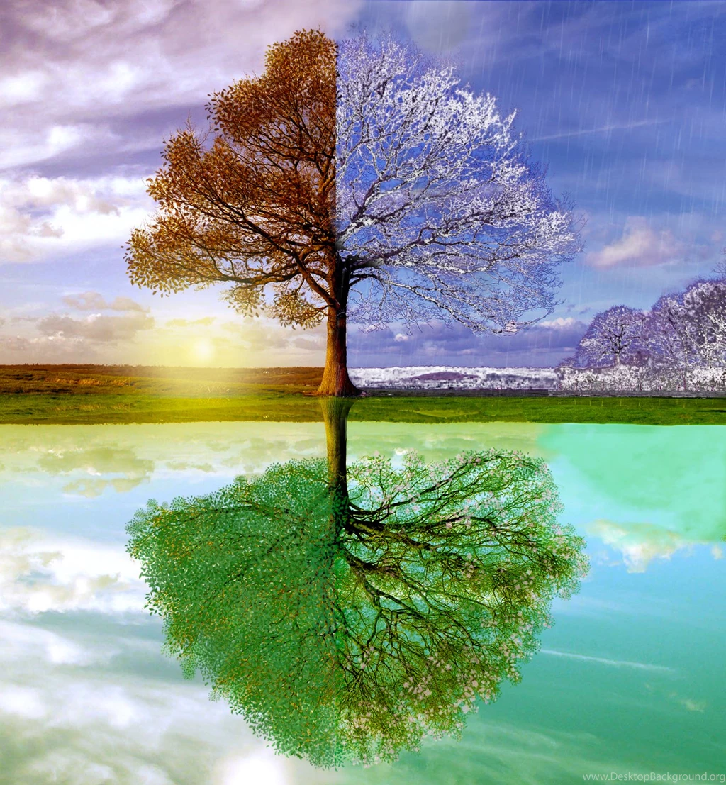 Changing Seasons Wallpapers
