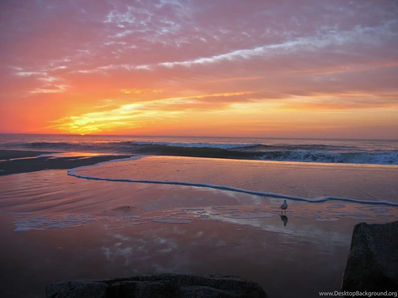 Top North Myrtle Beach Wallpapers