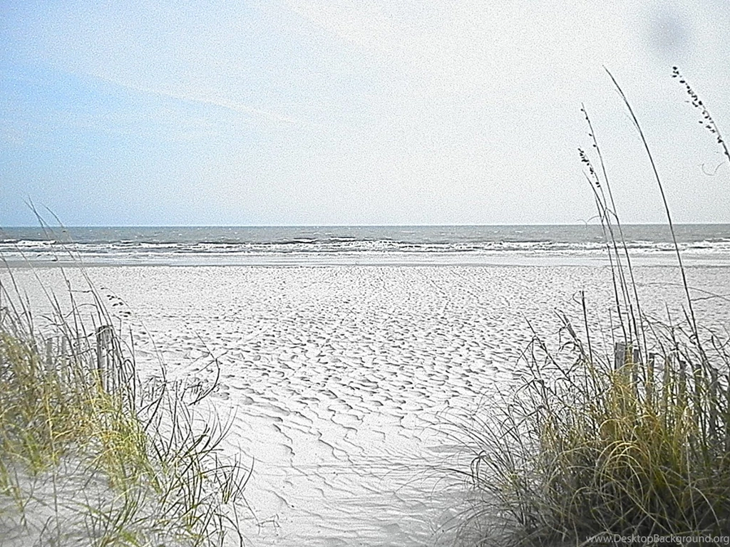 Traveling & Finding A Place In Myrtle Beach! (SC) “DAY 260” – 3/21 ...