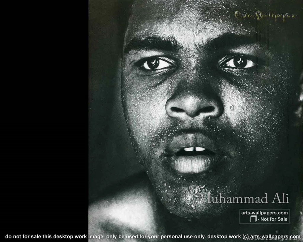 Muhammad Ali 02 Wallpapers Boxing Sport Wallpapers Collection