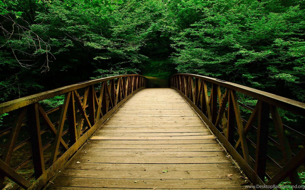 Beautiful Bridge In Green Nature Wallpapers Widescreen Download ...