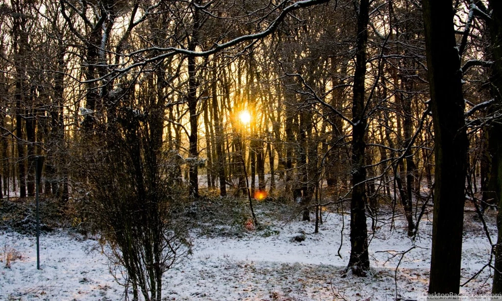 Beautiful Nature HD Desktop Wallpapers : Widescreen : High ...