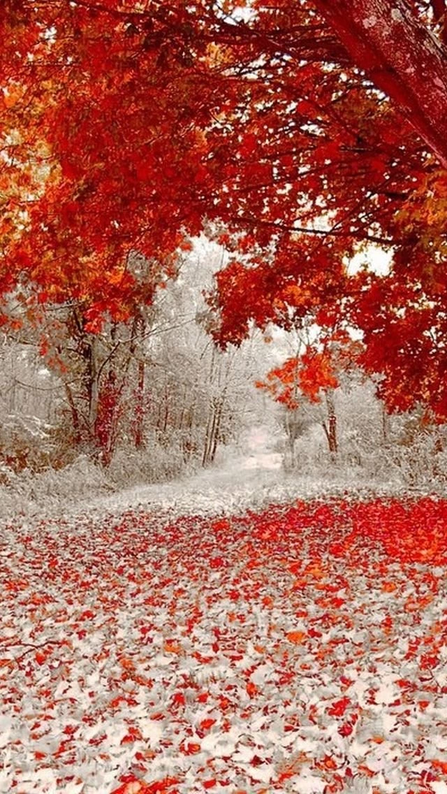 Best Nature Wallpapers For Iphone 5 Widescreen 2 Hd Wallpapers