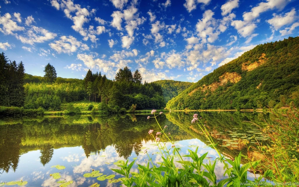 Download Beautiful Nature Wallpapers HD