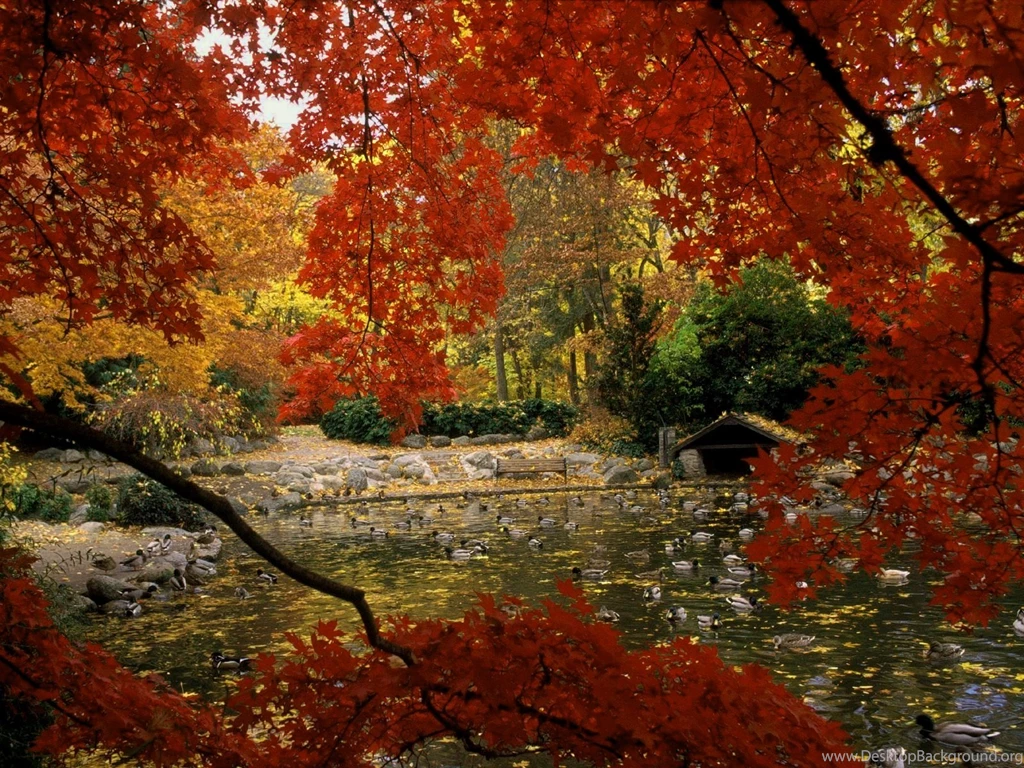 Fall Themed Wallpapers Desktop – 1920×1080 High Definition ...
