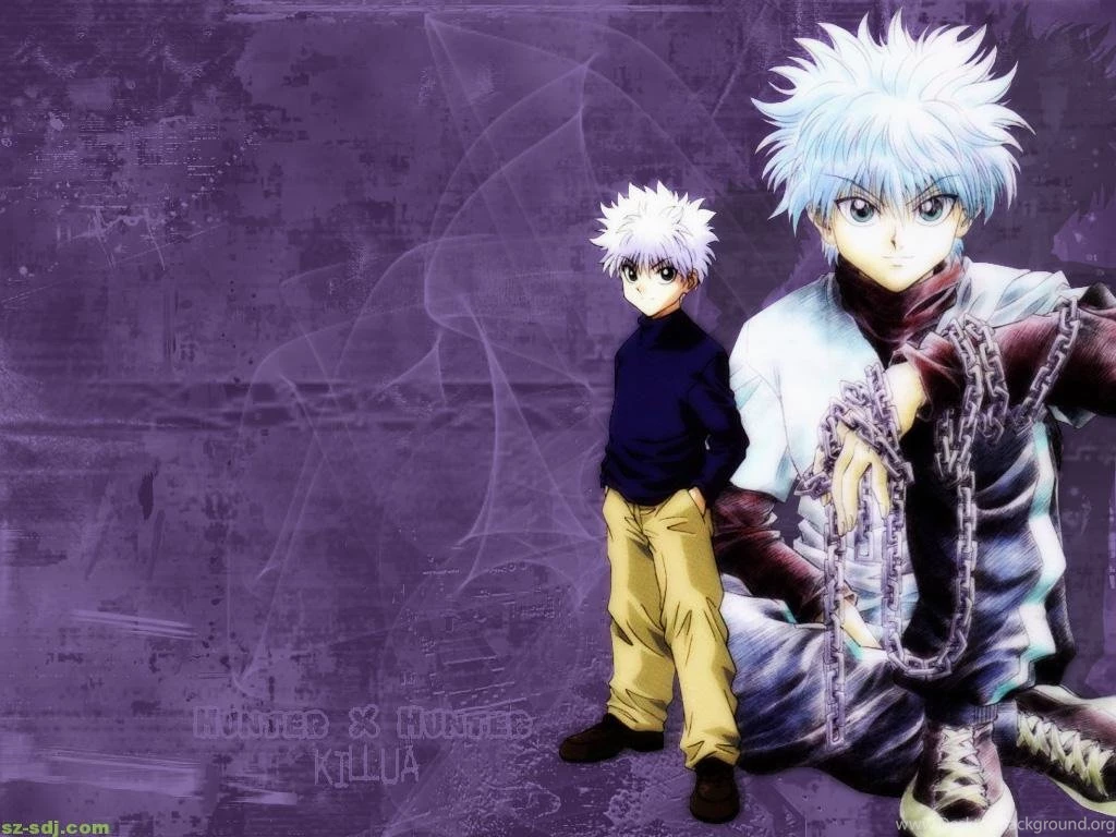 Hunter X Hunter Killua Backgrounds Picture For Desktop ...