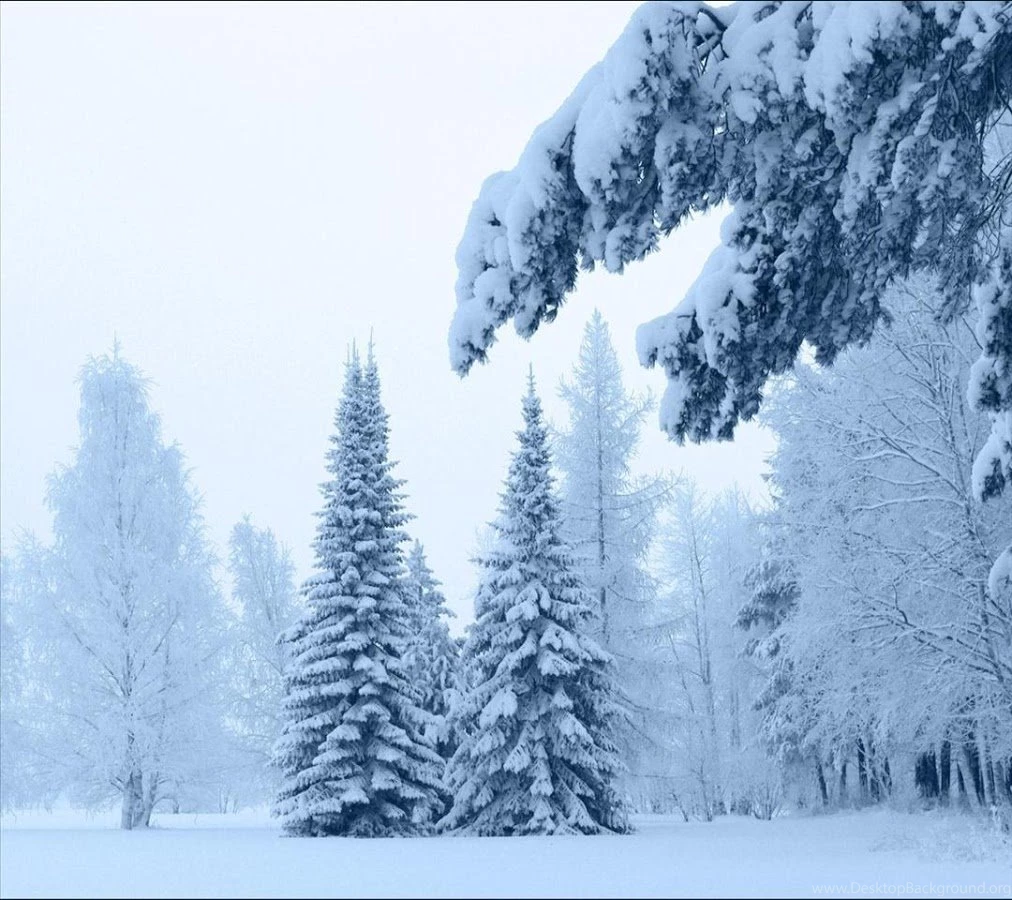 Snow Fall Live Wallpapers Android Apps On Google Play