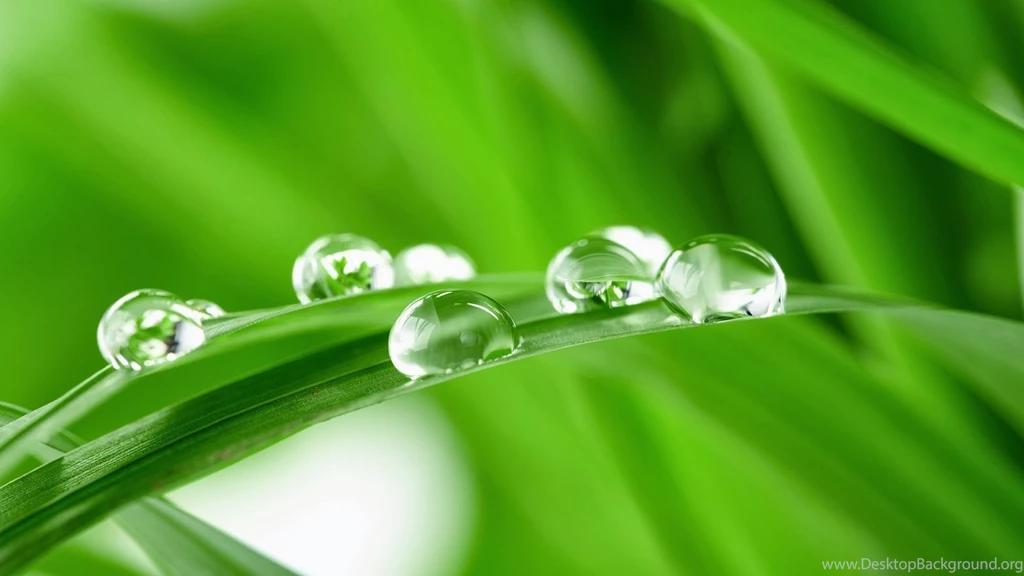 3D Dew Drop Hd Wallpapers   HD Wallpapers Blog