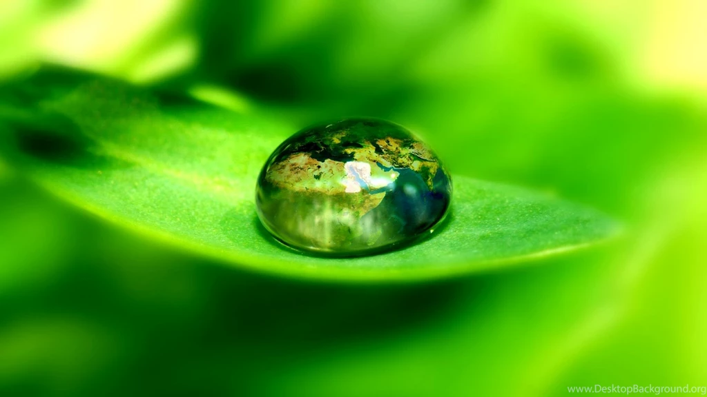 3D Dew Drop Hd Wallpapers HD Wallpapers Blog