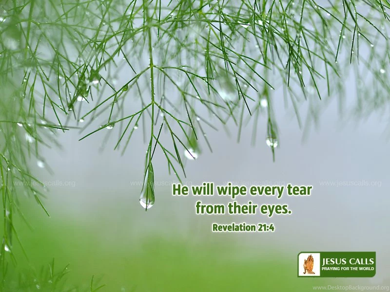 Today's Promise A Colourful Collection Of Wallpapers For Your ...