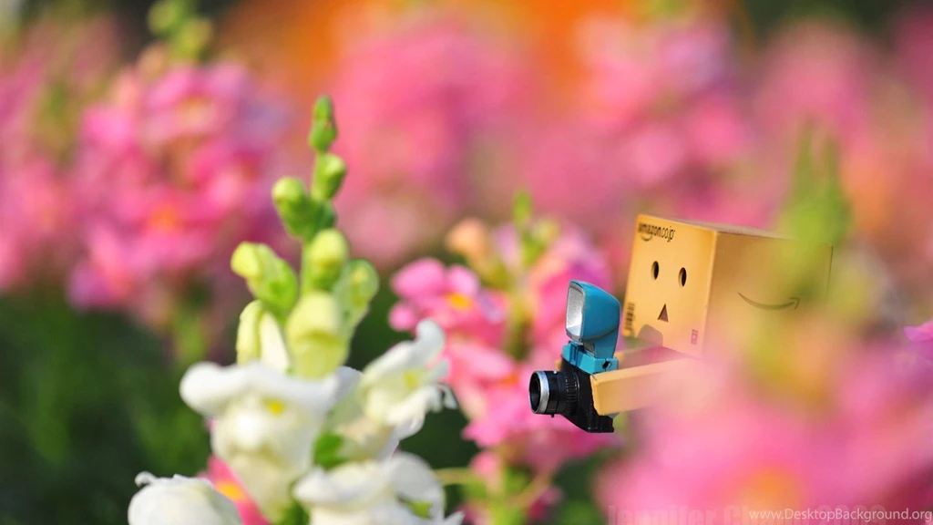 Cute Backgrounds