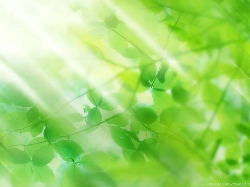 Wallpapers Green My Collection Blue And 1024x768