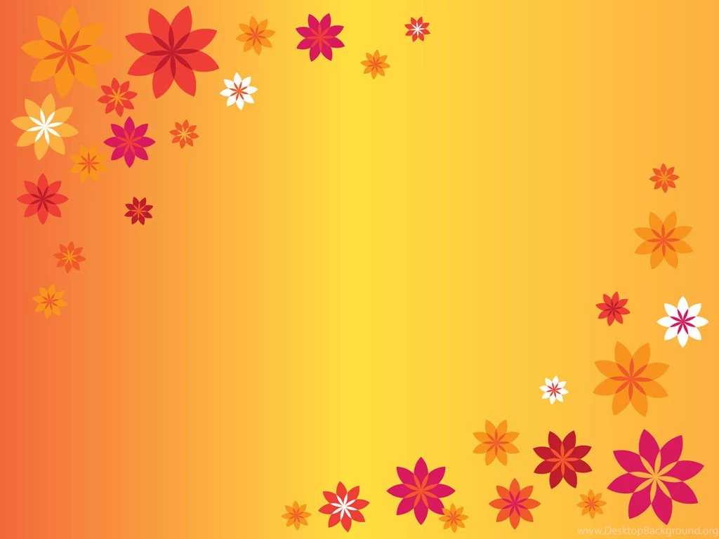 Top Wallpapers Orange Flowers Wallpapers Wallpapers