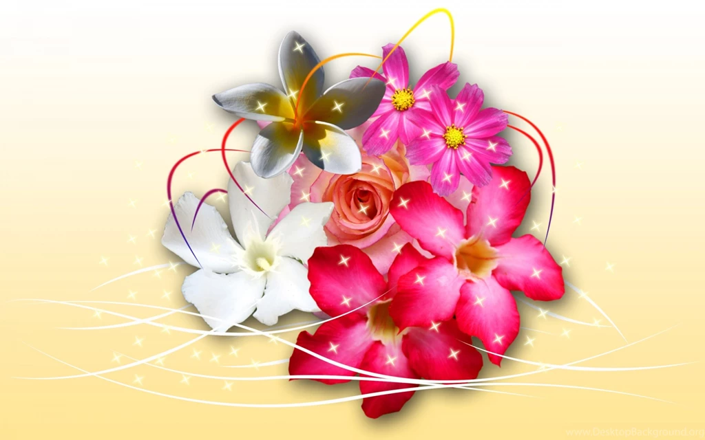 Onsilop: Backgrounds Wallpapers Flowers