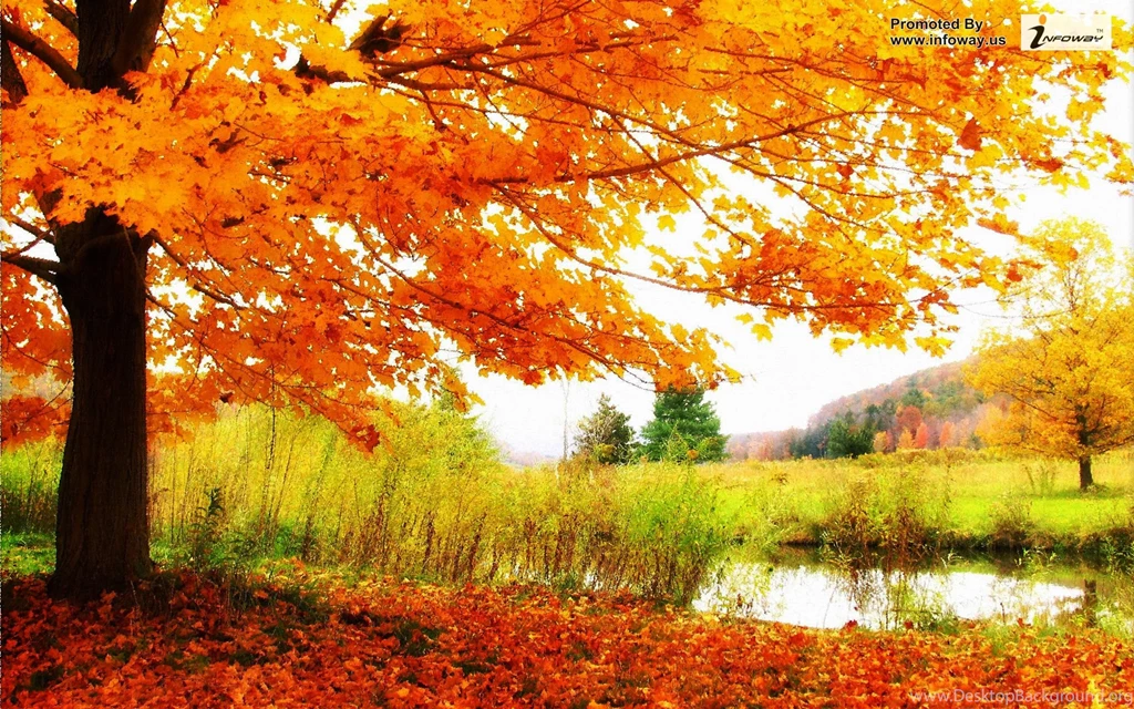 Beautiful Scenery Pics Collection (47+)