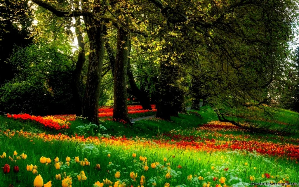 Good Scenery Wallpapers